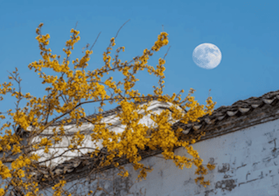 Mid-Autumn Festival Holiday Notice