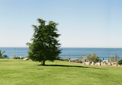 Notice of May Day Holiday